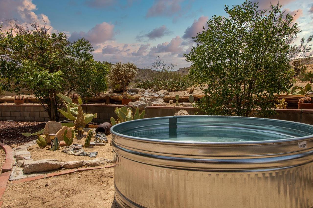 @ Marbella Lane - The Wine Mine Desert Escape * Joshua Tree